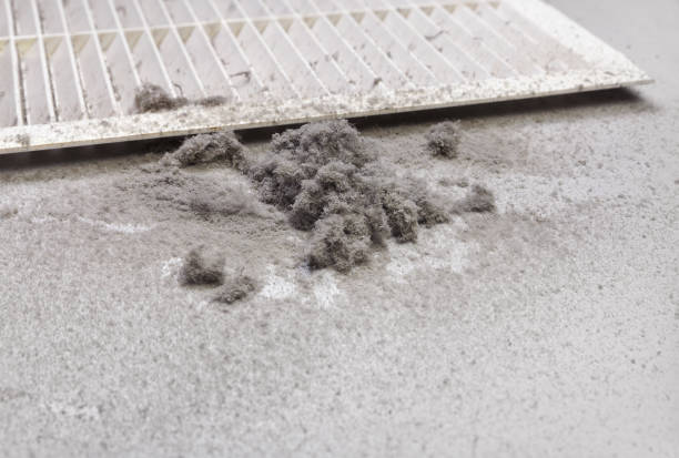 Best HVAC System Cleaning  in Havre, MT