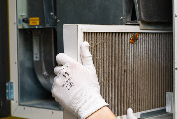 Best Ductwork Cleaning Services  in Havre, MT