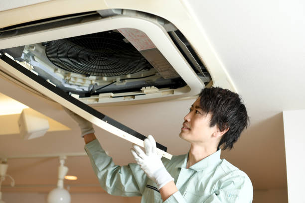 Best Air Vent Cleaning Services  in Havre, MT