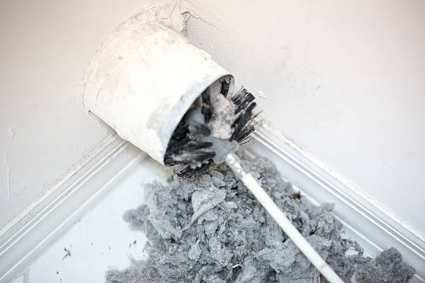Best Home Air Vent Cleaning  in Havre, MT