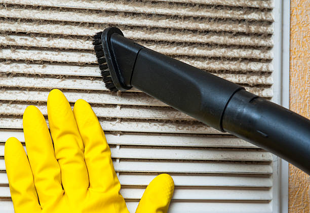 Best Local Air Duct Cleaning Services  in Havre, MT